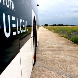 Der Wasserstoff-Bus steht auf einer Straße im Brainergy Park. Rechts daneben ist ein Feld mit Blumen zu sehen.